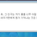 루시드 이미지