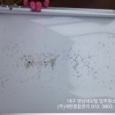 (주)새한종합관리 이미지
