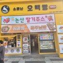소문난 오백빵 먹어본 후기! 쫀득 치즈에 반해버림