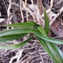 다도면사무소 이미지