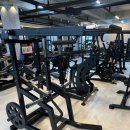 펠리스짐(능동점) 이미지