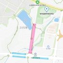대구 삼성 라이온즈 파크 직관 후기｜달빛시리즈, 주차 꿀팁, 먹거리 총정리
