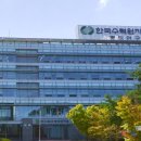 유성대로 1312번길 이미지