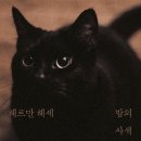밤의 사색 - 헤르만 헤세 이미지