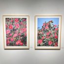 꽃그림 보타니컬아트 | 갤러리이즈 제1회 담소전-인사동길 꽃그림 보태니컬 아트 전시회