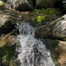 봉양로-2 이미지