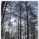 다경식당 이미지