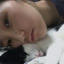 정성환동물병원 이미지