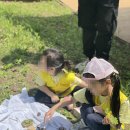 송림휴먼시아어린이집 네이버블로그