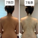 손미담