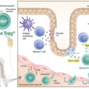 주식회사 지아이글로벌 이미지