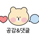 서이동물병원 이미지