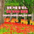 10월12일 / 국립 김천치유의숲 인현왕후길&amp;직지사 꽃무릇트래킹 이미지