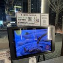 단위농협사거리(공원앞) | [안양/호계동] 안양 호계사거리 맛집 서울현방, 한우부터 특수부위까지 완벽한 고깃집! 🍖🔥