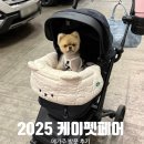 일산냉동공업(주) | 2025 메가주 케이펫페어 일산 펫박람회 방문 후기