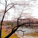 희원 이미지