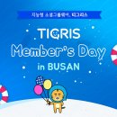타이거컨설팅