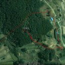 어리염소 이미지