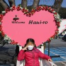 봉하마을 공영주차장　 이미지