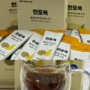 목감기예방 리턴 라이프 돌배도라지청 농축스틱 한포 쏙