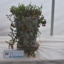 원남면 주민자치센터 이미지