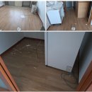 디아뜨 1 이미지