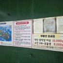 한국버스방송 주식회사 | 부산 영도 놀거리 태종대 유람선 할인 여행특공대 티켓