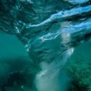 블루홀(BLUE HOLE) 이미지