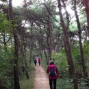 정읍사로 이미지