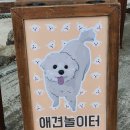 카누720애견풀빌라 이미지