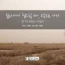 에스제이컬쳐 이미지