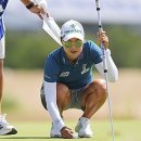 (주)메이저라인 이미지