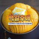 고창카페 백일후애 생과일망고빙수 후기, 고창생과일빙수맛집 찾으면 여기 (고창디저트카페 추천)