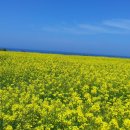 연동민박 이미지