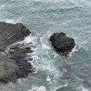 양남주상절리 이미지