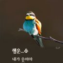 황우장사님.산마을님 찬조금 이미지