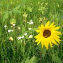 길목공인중개사사무소 이미지