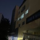 수원 영통 인생 카이센동 맛집 ‘좋은소식’ 내돈내산 후기