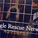 쁘띠콩 이미지