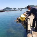 경상남도 수산안전기술원 이미지