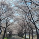 구량차리로 이미지