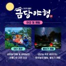 2025 금당야행 이미지