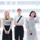 정연 이미지