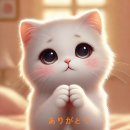 '투잡을 뛰다' 일본어로는?