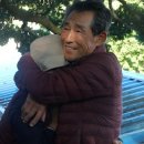 추도펜션 이미지