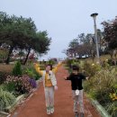 안성맞춤랜드 하늘정원 &#34;공예문화센터&#34; 가죽 공예 체험 후기♡