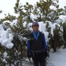 영해축산B 이미지