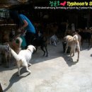 윤호목장 이미지