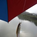 보성강8 이미지