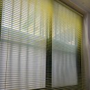 딩동댕 펫살롱 이미지